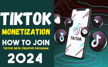 TikTok Creativity Program